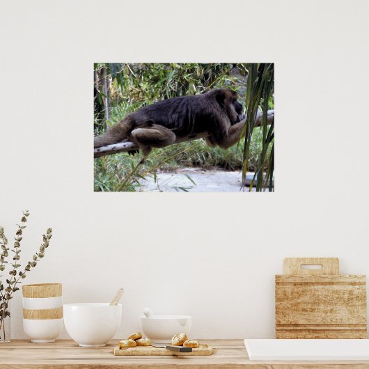 Poster Howler Monkey Hangout (Cuisine)