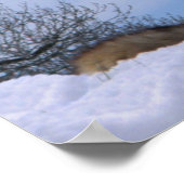 Poster Howling Loup de bois de l'Alaska (Coin)