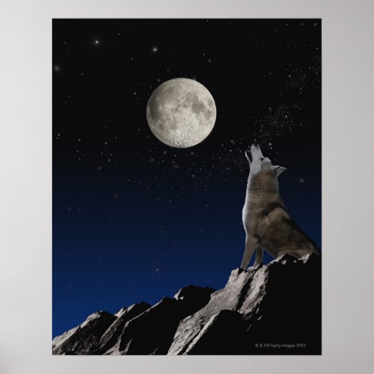 Poster Howling Wolf (Devant)