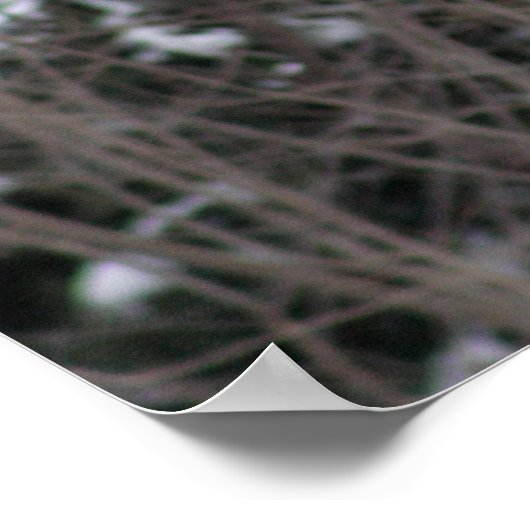 Poster Howling Wolf En Hiver (Coin)