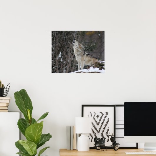 Poster Howling Wolf En Hiver (Bureau à domicile)