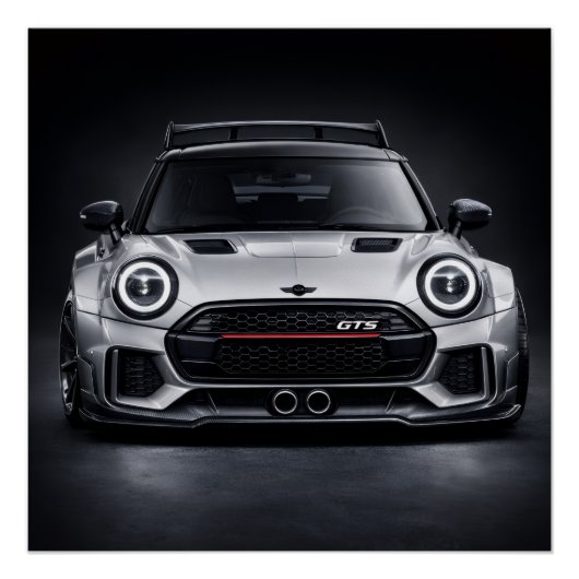 Poster https://www.zazzle.com/performance_hatchback_front (Devant)