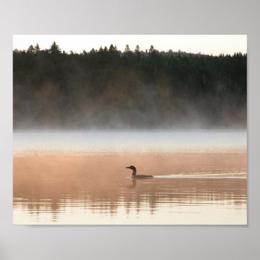 Poster huard dans le brouillard matinal (Devant)