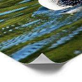 Poster huard du nord (Coin)