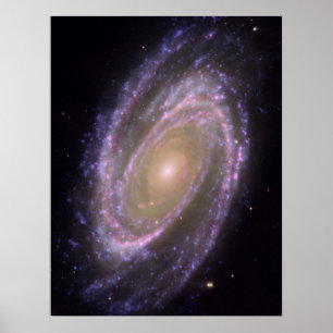 Poster Hubble - Galex - Spitzer Composite Image de M81