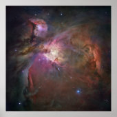 Poster Hubble Vue panoramique d'Orion Nebula (Devant)