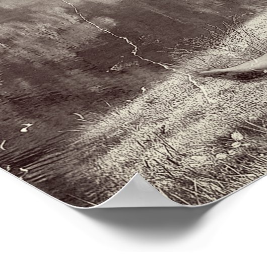 Poster Huckleberry & Tom (Sepia Edition) (Coin)