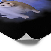 Poster Huh Silly Chat Mème Funny Odly Bootleg Spécifique (Coin)