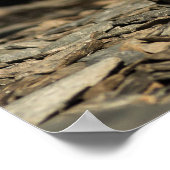 Poster Huile de chasse (Coin)