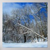 Poster Huile d'hiver (Devant)