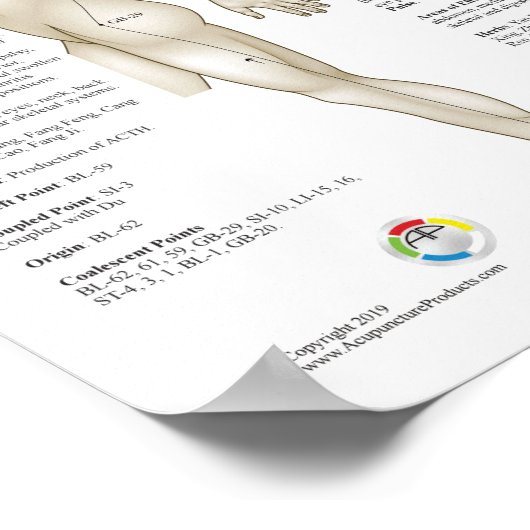 Poster Huit Méridiens Extraordinaires Acupuncture Extra (Coin)