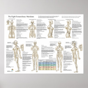 Poster Huit Méridiens extraordinaires d'acupuncture supp