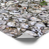 Poster Huîtres, Apalachicola, Floride (Coin)