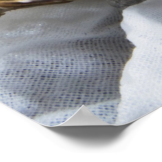 Poster Huîtres Sur Glace (Coin)