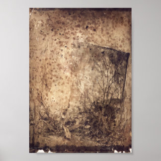 Poster Hulroy Wilds