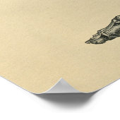 Poster Human Foot Anatomy 1902 Vintage Print (Coin)