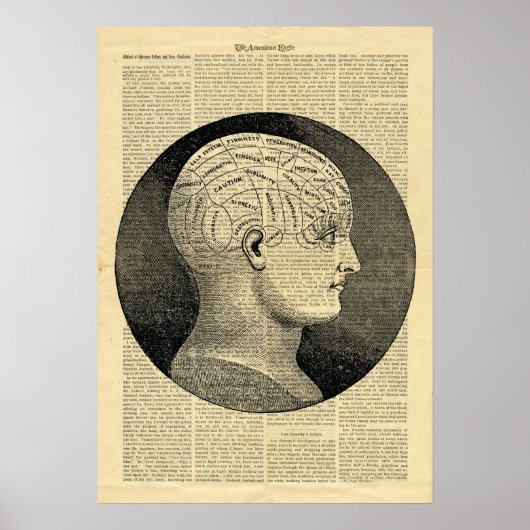 Poster Human Head Phrenologie over kranten (Voorkant)