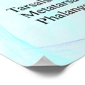 Poster Human Homme Skeleton (Coin)