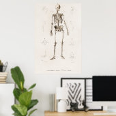 Poster Human skeleton (Bureau à domicile)