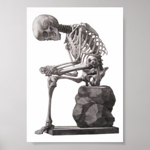 Poster Human Skeleton Sitting Anatomy science Art