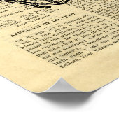 Poster  Human Skeleton Thorax in de krant (Hoek)