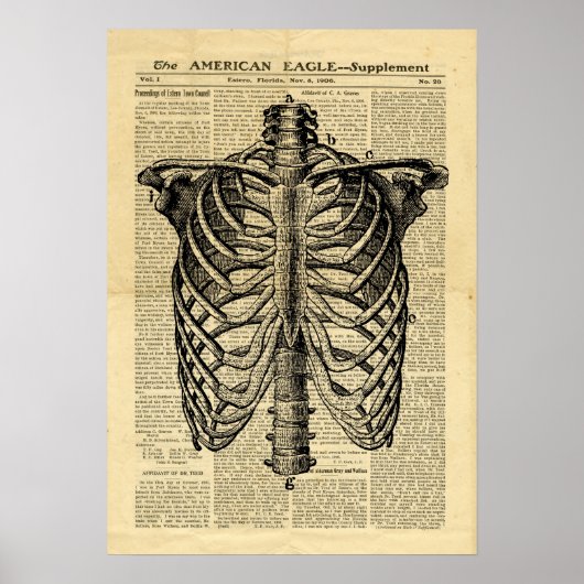 Poster  Human Skeleton Thorax in de krant (Voorkant)