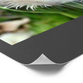 Poster Humble horloge en pissenlit A.I. photo améliorée. (Coin)