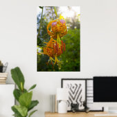 Poster Humboldt Lily (Bureau à domicile)