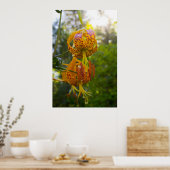 Poster Humboldt Lily (Cuisine)
