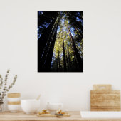 Poster Humboldt Redwoods State Park (Cuisine)