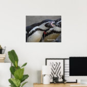 Poster Humbolt Penguin au zoo de Drusillas dans l'est du  (Bureau à domicile)