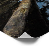 Poster Humeur du matin | Lac Eibsee (Coin)