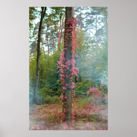 Poster Humeur forestière (Devant)