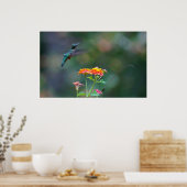 Poster Hummer rouillé (Cuisine)