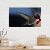Poster Hummingbird Close Up ~print~ (Cuisine)