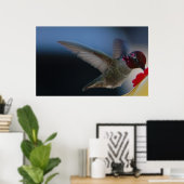Poster Hummingbird Close Up ~print~ (Bureau à domicile)