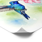 Poster Hummingbird feeding (Coin)