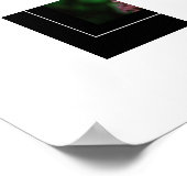 Poster-Hummingbird Poster (Hoek)