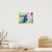 Poster Hummingbird violet volant dans une pose gracieuse (Cuisine)
