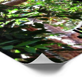 Poster humoristique Baby Panda (Coin)