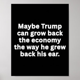 Poster Humour anti-Trump sarcastique et drôle, satire pol