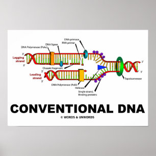 Poster Humour de biologie moléculaire de l'ADN convention