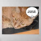 Poster Humour de chat Tabby Orange (Devant)