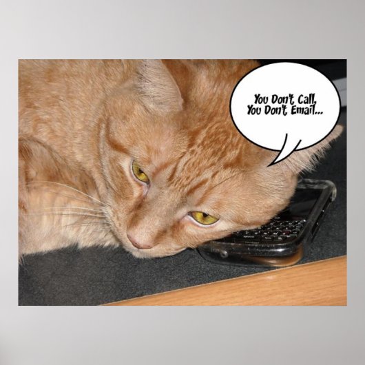 Poster Humour de chat Tabby Orange (Devant)