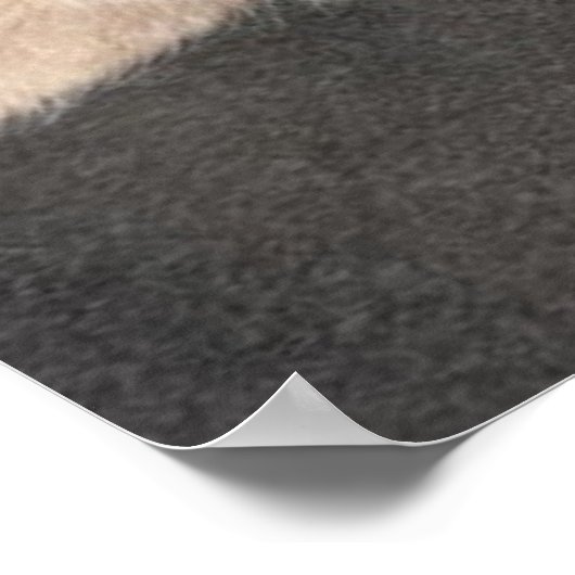 Poster Humour de chat Tabby Orange (Coin)