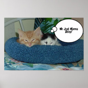 Poster Humour de chat Tabby Orange