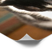 Poster Humour de chat Tuxedo (Coin)