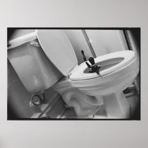 Poster Humour de toilettes