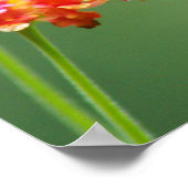 Poster Humour d'été (Coin)