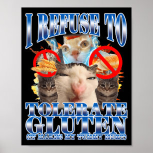 Poster Humour drôle Je refuse de tolérer Mème de chat au 